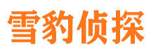 商丘调查公司